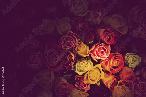 Photo: Colorful roses background. Beautiful, high quality Colorful roses background. Beautiful, high quality
