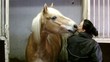 Video: Tierliebe Tierliebe