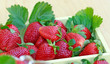 Fresh strawberries