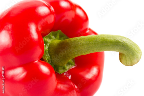 Photo: Rote Paprika ©yvonneweis Rote Paprika ©yvonneweis
