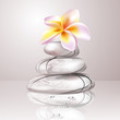 Spa zen stones and frangipani flowers