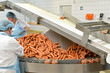 Lebensmittelindustrie // Industrial food production
