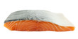 Lachs filet