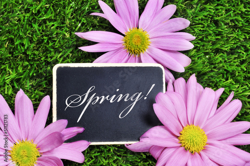 Photo: spring spring