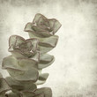textured old paper background