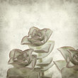 textured old paper background