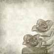 textured old paper background