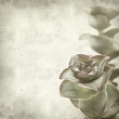 textured old paper background