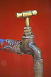 Community Water Tap