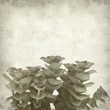 textured old paper background
