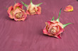 Purple floral background with roses