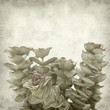 textured old paper background