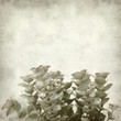 textured old paper background