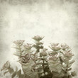 textured old paper background