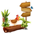 Vector: A chicken and a butterfly near the wooden arrows A chicken and a butterfly near the wooden arrows