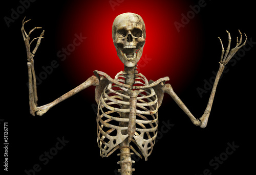 Illustration: The Skeletal Scream The Skeletal Scream