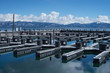 Lake Tahoe Marina