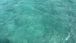 Tropical Florida Ocean Water