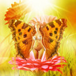 fairy with wings on a flower