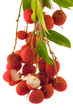 grappe de litchis
