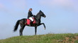 Horseman on the hill
