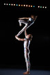 Circus artists perform different tricks.