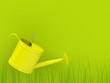 Frühling