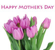 Beautiful bouquet of purple tulips, isolated on white
