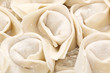 Raw dumplings