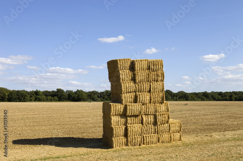 Photo: dry hay dry hay