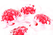 Raspberry Yogurt
