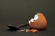 leeres Frühstücksei