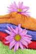 towels and flowers