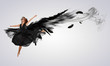 Photo: Woman floating on dark wings Woman floating on dark wings