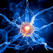 Illustration of a nerve cell