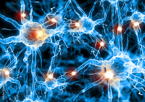 Illustration: Illustration of a nerve cell Illustration of a nerve cell