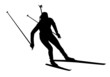Biathlon Sprint