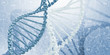 canvas print picture - DNA molecule