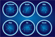 Vector: The character set of the stars of the zodiac. Set1. The character set of the stars of the zodiac. Set1.