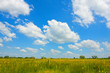 Nice clouds over meadow
