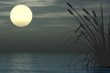 Reeds