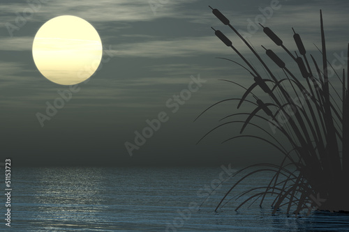 Illustration: Reeds Reeds