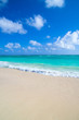 tropical sea