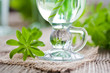 glas waldmeisterbowle