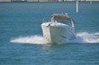 Sporty Runabout