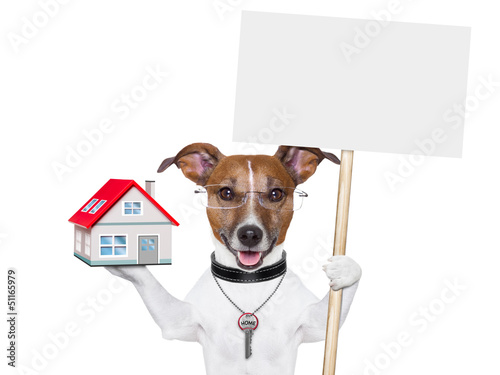 Photo: banner dog home and key banner dog home and key