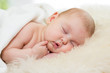 newborn baby girl sleeping on fur bed