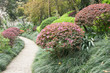Foto: Path in garden Path in garden