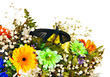 Butterfly and flower.