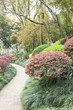 Foto: Path in garden Path in garden